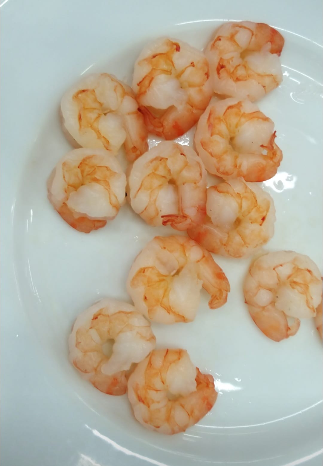 Shrimp Collection
